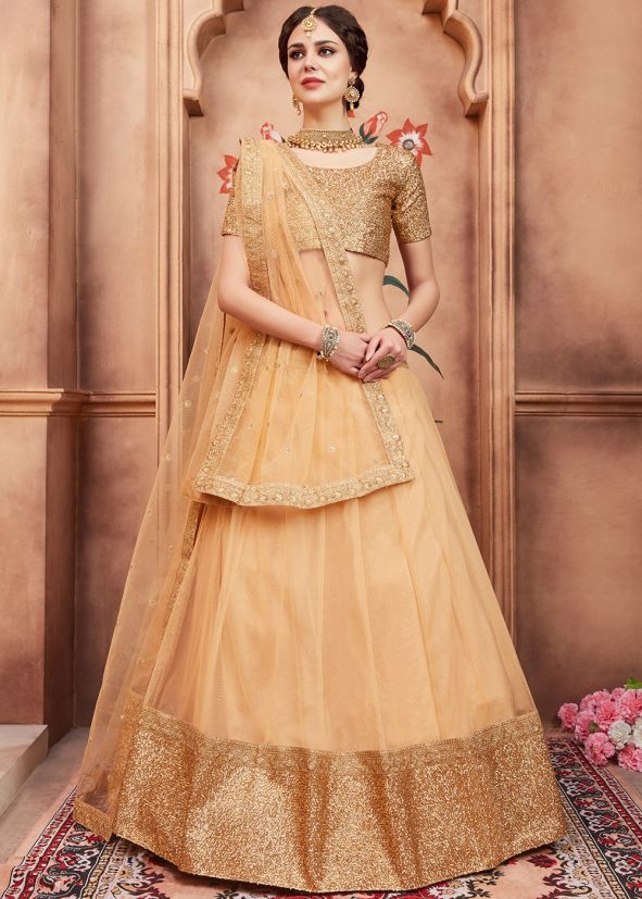 Designer Net Sequins Border Beige Lehenga Choli Online Shopping USA
