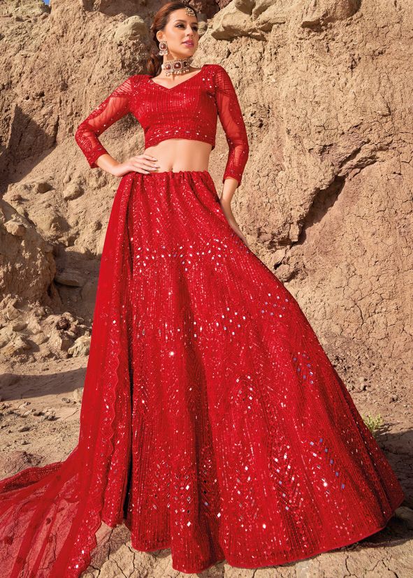 Red Resham Embroidered Net lehenga Choli