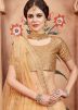 Beige Net Sequins Border Lehenga Choli