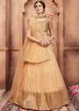 Designer Net Sequins Border Beige Lehenga Choli Online Shopping USA