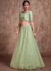 Light Green Sequins Embellished Lehenga Choli