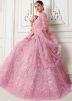 Pink Embroidered Net Lehenga Choli With Dupatta