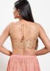 Beige Color Net Saree Blouse 