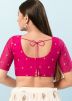Pink Color Net Saree Blouse 