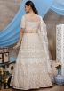 Beige Embroidered Net Lehenga Choli With Dupatta