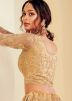 Golden Net Embroidered Lehenga Choli