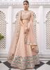 Beige A-Line Lehenga Choli in Silk