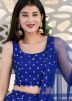 Blue Sequins Embellished Georgette Lehenga Choli