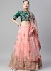 Peach Net Embroidered Lehenga Choli