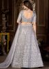 Grey Sequinned Net Lehenga Choli & Dupatta