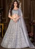 Grey Sequinned Net Lehenga Choli & Dupatta