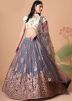 Grey Embroidered Net Lehenga Choli & Dupatta