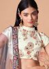 Grey Embroidered Net Lehenga Choli & Dupatta