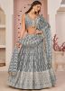 Grey Net Sequins Embellished Lehenga Choli
