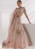 Pink Embroidered Lehenga Choli In Organza