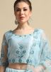 Blue Net Embroidered Lehenga Choli & Dupatta