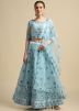 Blue Net Embroidered Lehenga Choli & Dupatta