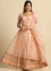 Peach Embroidered Lehenga Choli In Net