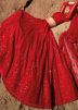 Red Resham Embroidered Net lehenga Choli
