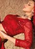 Red Resham Embroidered Net lehenga Choli