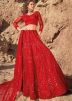 Red Resham Embroidered Net lehenga Choli