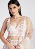 Cream Embellished Net Lehenga Choli & Dupatta