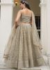 Grey Thread Embroidered Lehenga Choli In Net