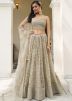Grey Thread Embroidered Lehenga Choli In Net
