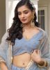 Grey Thread Embroidered Lehenga Choli