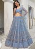 Grey Thread Embroidered Lehenga Choli