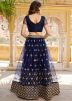 Blue Net Lehenga Choli In Thread Embroidery