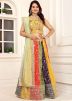 Multi Embroidered Lehenga Choli With Dupatta
