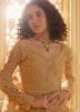 Beige Embroidered Net Lehenga Choli