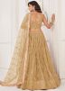 Golden Sequin Embellished Net Lehenga Choli