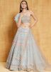 Turquoise Embroidered Lehenga Choli In Organza