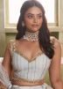 Light Grey Embellilshed Net Lehenga Choli