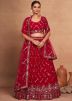 Red Embroidered Georgette Lehenga Choli Set
