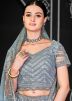 Blue Net Embellished Lehenga Choli Set