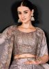 Grey Embellished Net Lehenga Choli