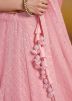 Pink Embroidered Lehenga Choli