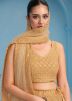 Brown Embroidered Lehenga Choli
