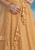 Brown Embroidered Lehenga Choli
