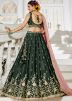Olive Green Embroidered Chiffon Lehenga Choli