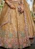Beige Thread Embroidered Lehenga Choli Set