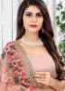 Peach Heavy Border Net Saree With Blouse
