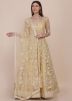 Cream Net Anarkali Suit Set In Thread Embroidery