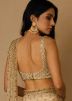 Beige Sequins Embellished Net Saree