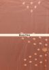 Peach Embroidered Saree In Net