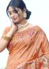 Peach Zari Woven Work Silk Saree