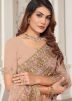 Dusty Mauve Pink Embroidered Net Saree